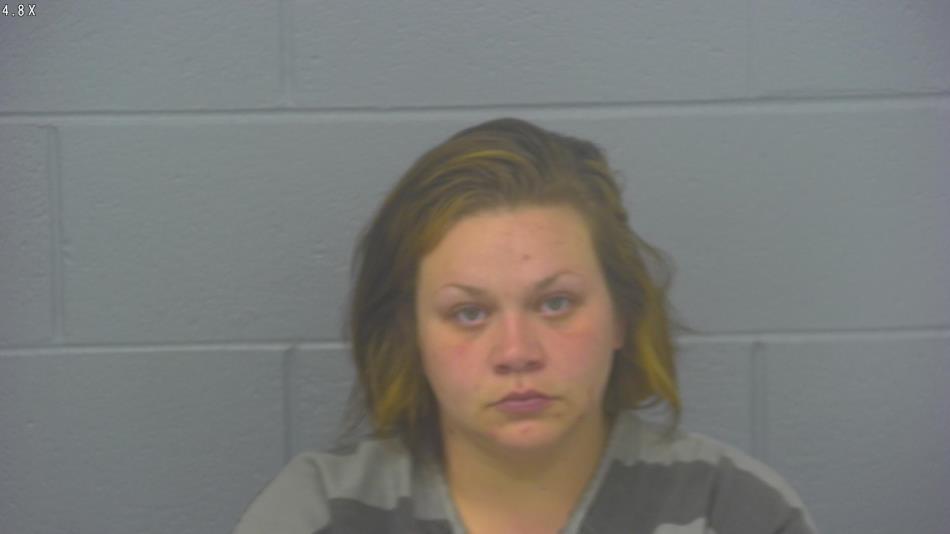 Arrest photo of LESLIE DEWITT