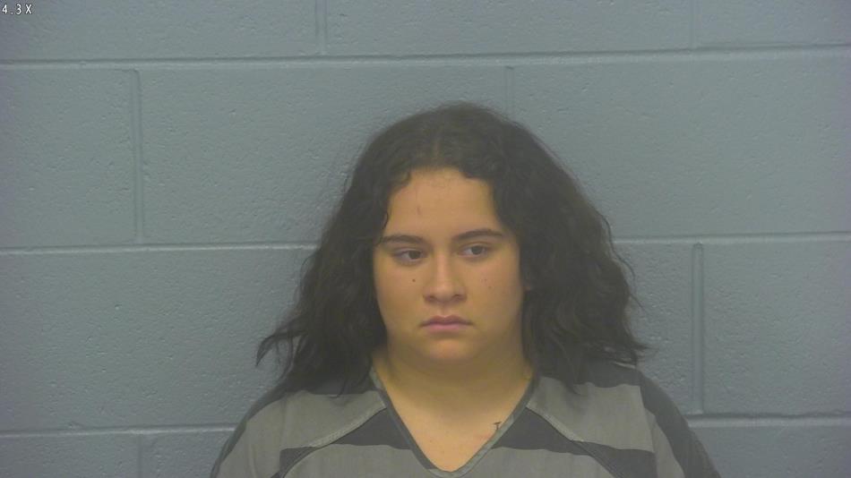 Arrest photo of LESLY SEPULVEDA