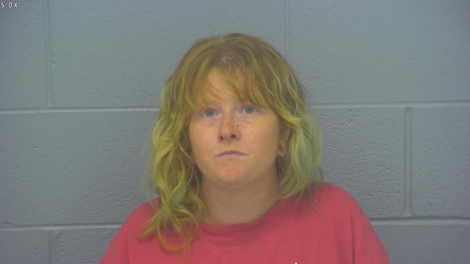 Arrest photo of LETHA LONG