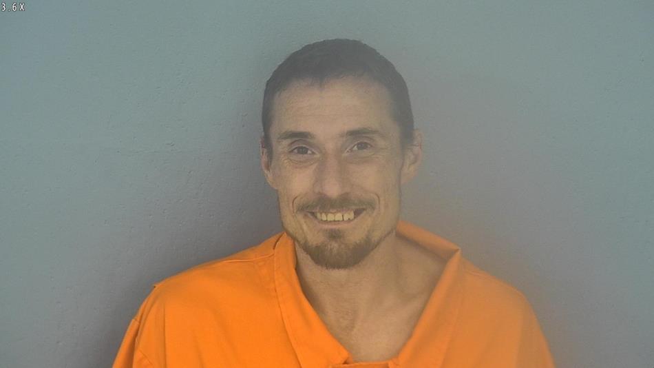 Arrest photo of LEVI HOLMES