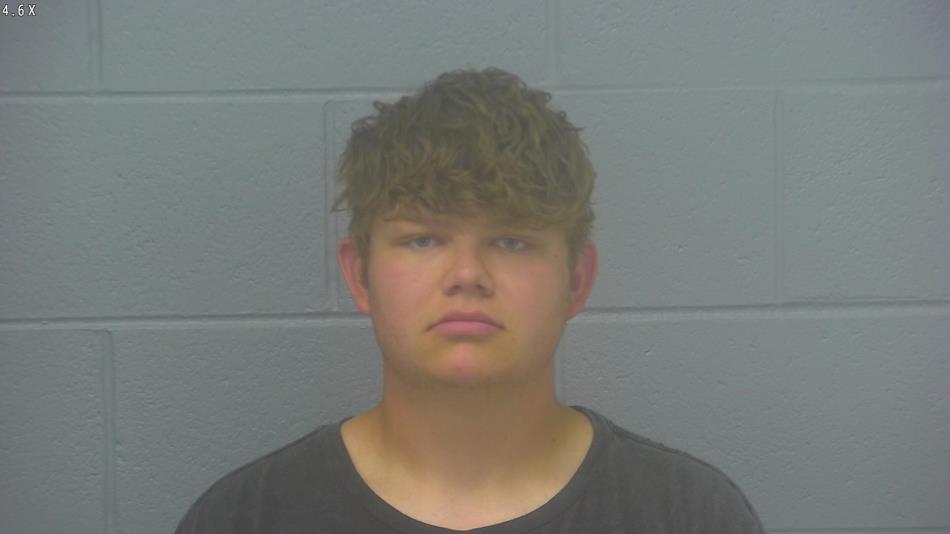 Arrest photo of LEVI WOODS