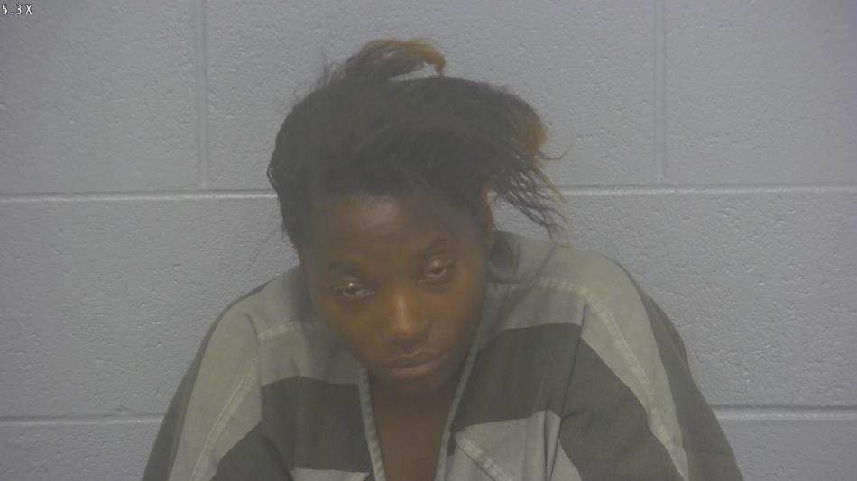 Arrest photo of LEVONNE MARTIN