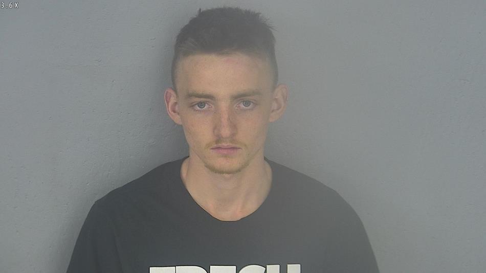 Arrest photo of LIAM VITALE