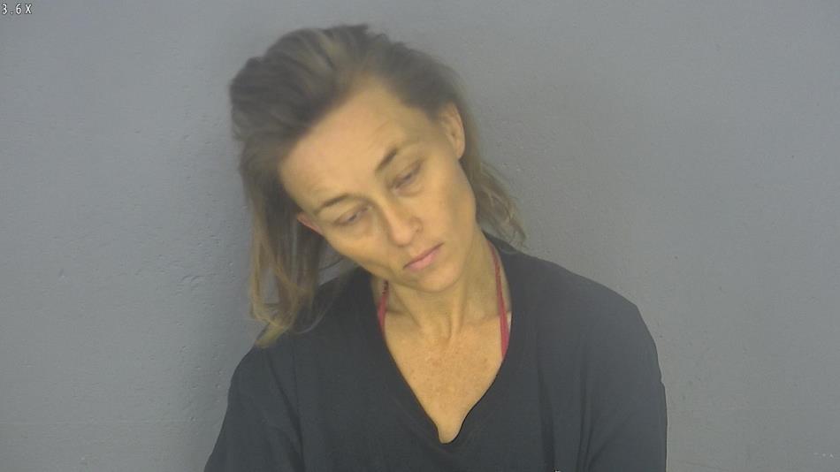 Arrest photo of LIBBY GANN