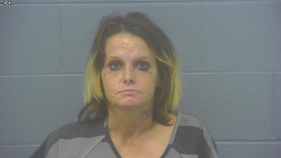 Arrest photo of LIEANNE PFEFFER