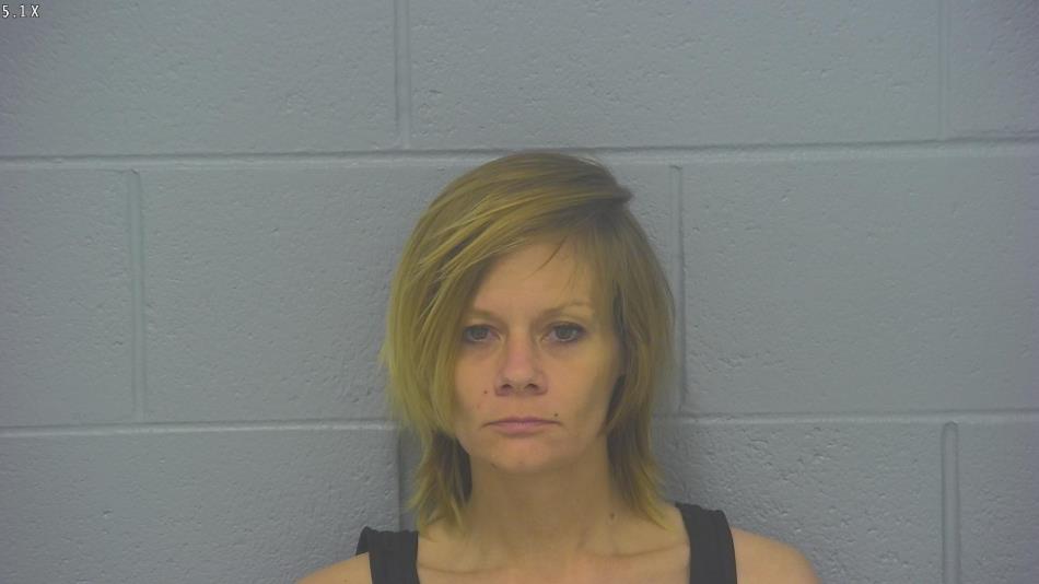 Arrest photo of LILLIAN BRAMER