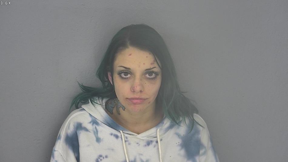 Arrest photo of LILY GARIS