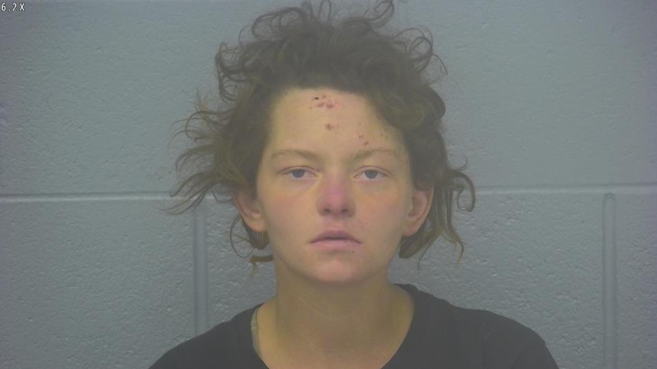 Arrest Photo of LILY SNEED, arrested on 2/7/2025