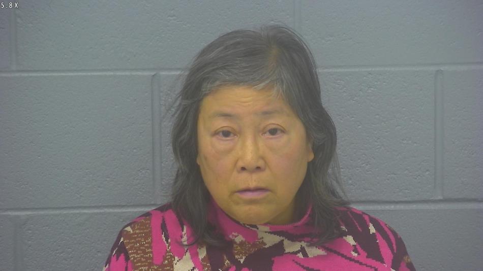 Arrest photo of LILY CHOI