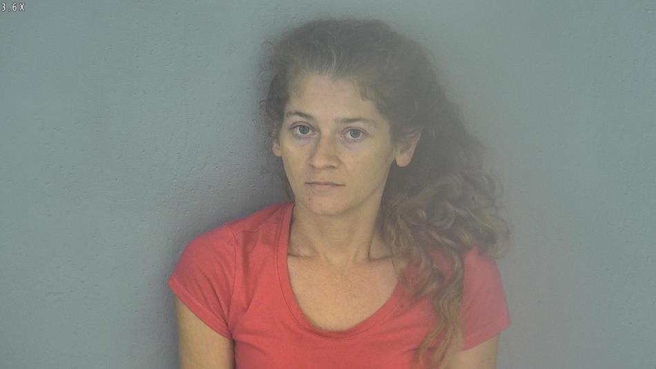 Arrest photo of LINDA MENDENHALL