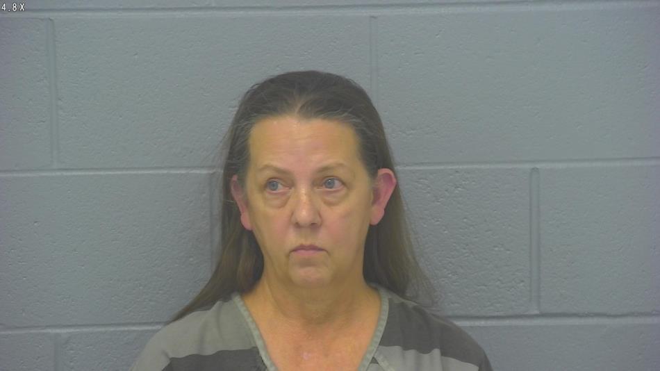 Arrest photo of LINDA JOHNSON