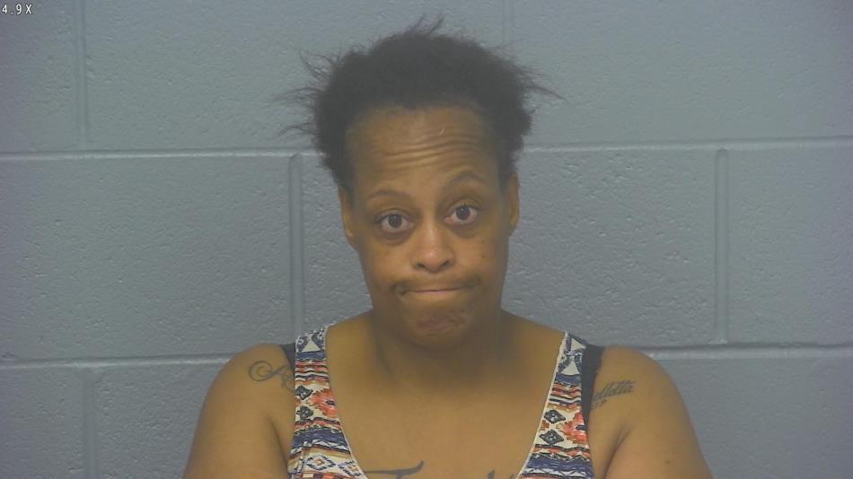 Arrest photo of LINDA JOHNSON