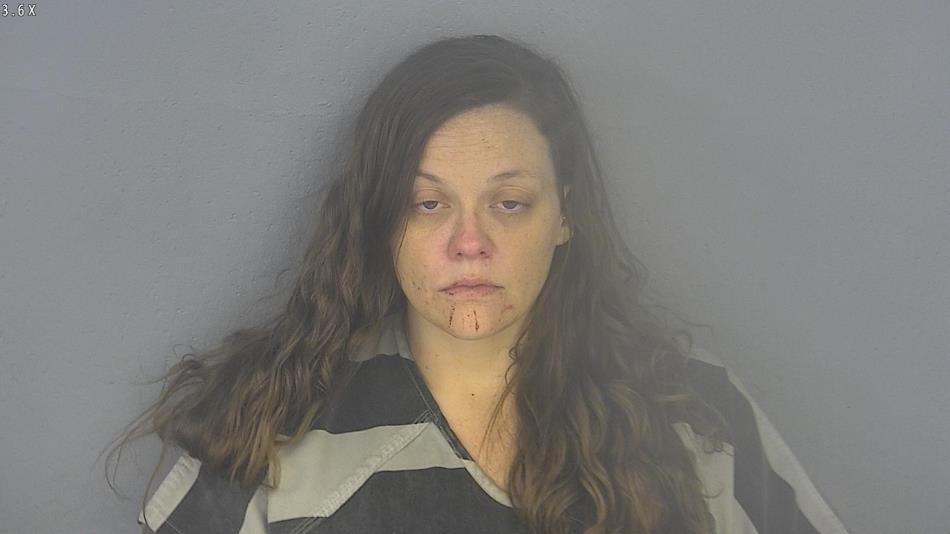 Arrest photo of LINDSAY TOMAZIN