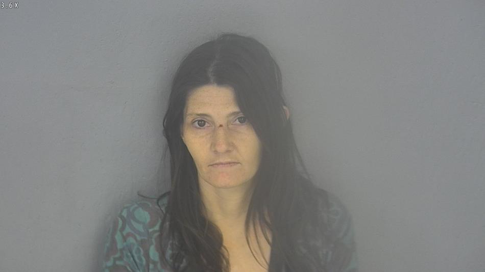 Arrest photo of LINDSAY RITZ