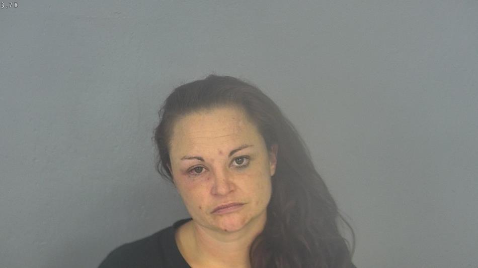 Arrest photo of LINDSEY HOAGLIN