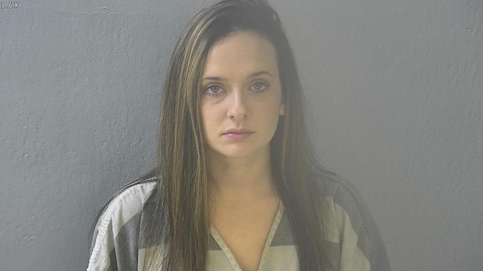 Arrest photo of LINDSEY HAINES