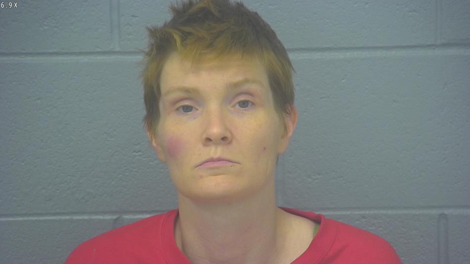 Arrest photo of LINDSEY MCMEEKIN