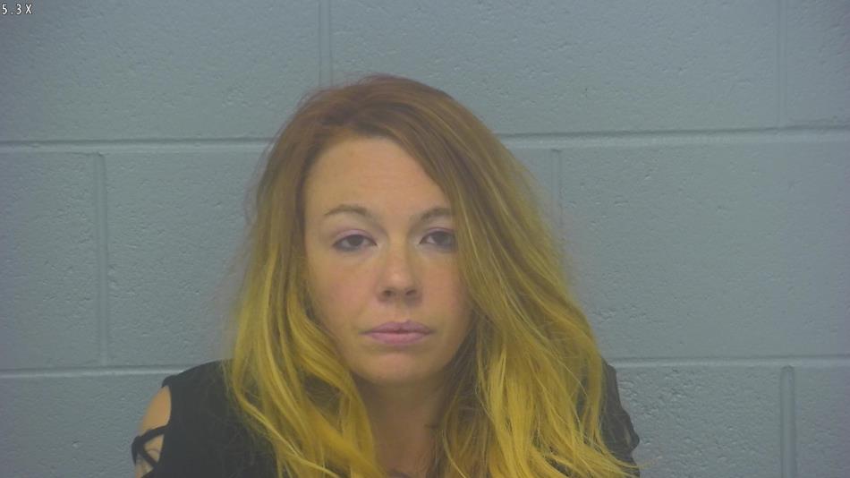 Arrest photo of LINDSEY ROBINSON