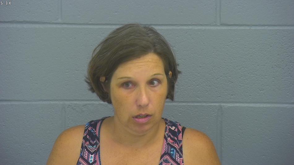 Arrest photo of LISA CLEMENT