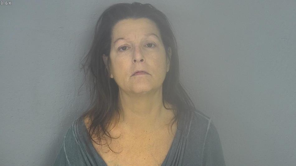 Arrest photo of LISA LANGE
