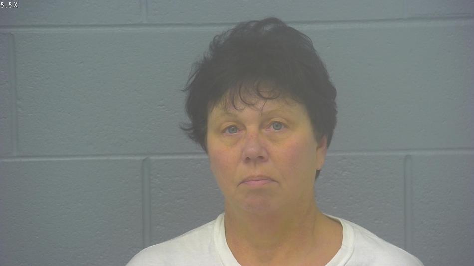 Arrest photo of LISA FINDLEY