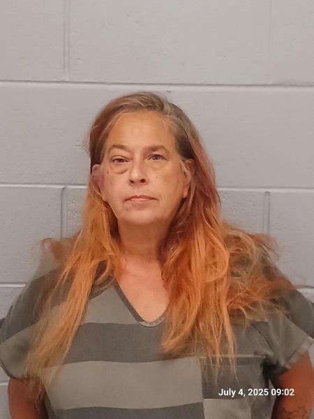 Arrest photo of LISA DAVIS