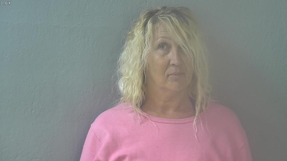 Arrest photo of LISA HUNT