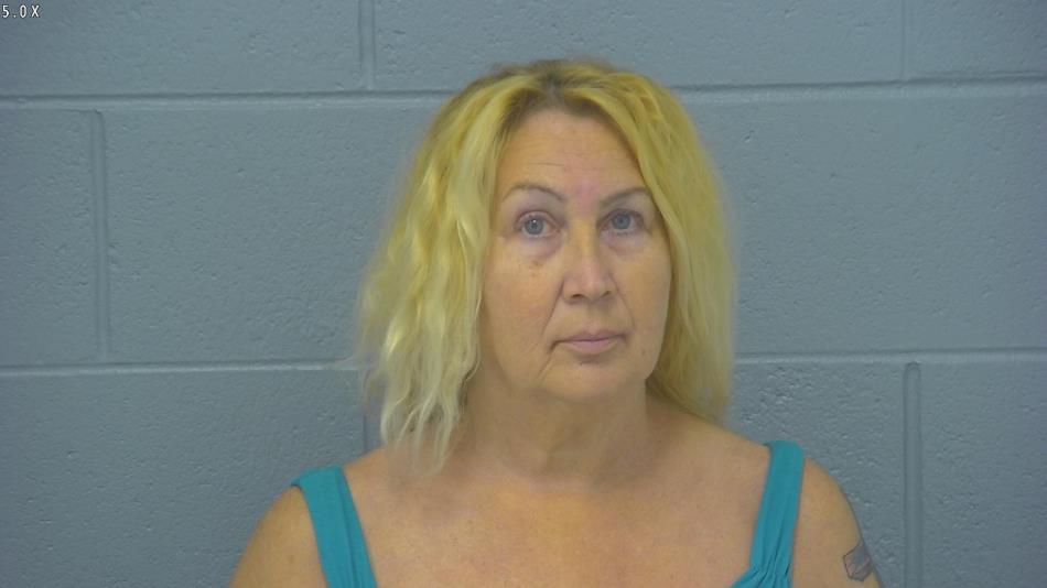 Arrest photo of LISA HUNT