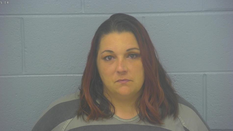 Arrest photo of LISA JONES