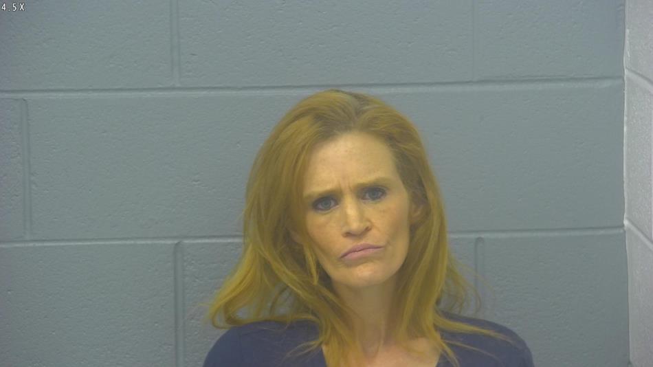 Arrest photo of LISA BREWER