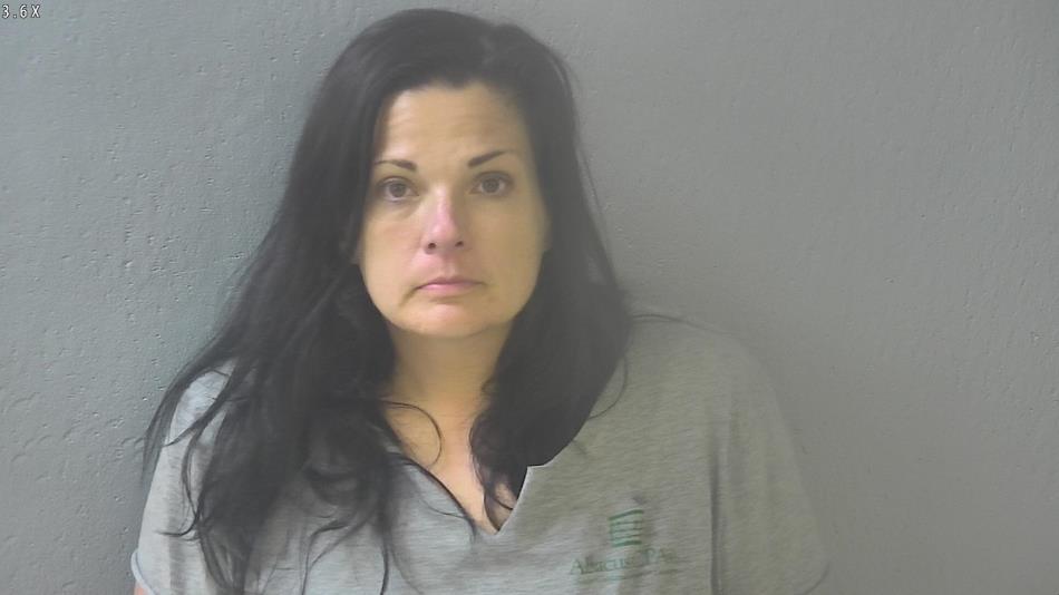 Arrest photo of LISA WITT