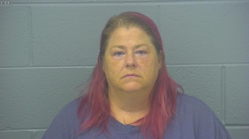 Arrest photo of LISA BOWMAN