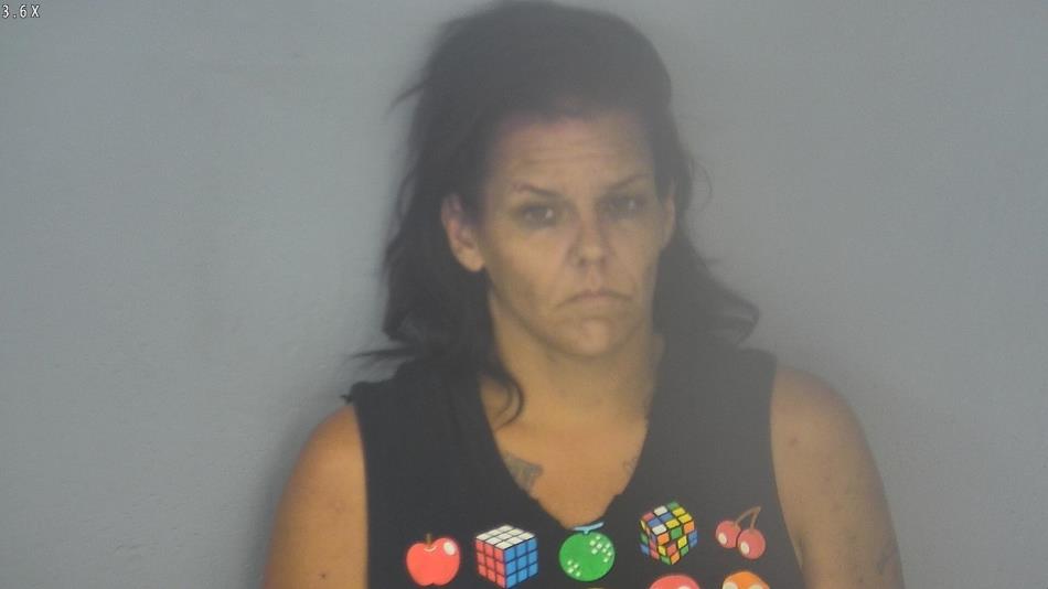 Arrest photo of LISA BRUTON