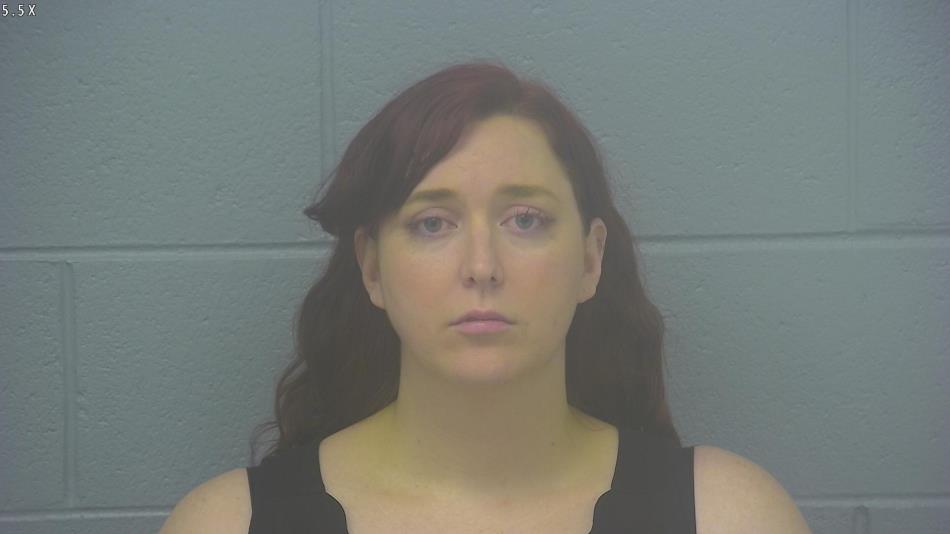 Arrest photo of LISA RICHARDS