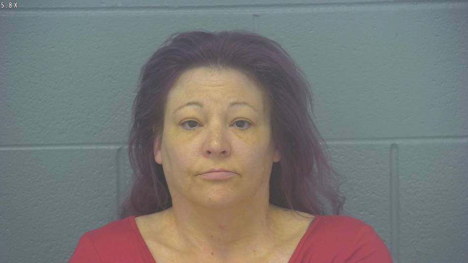 Arrest photo of LISA THOMPSON