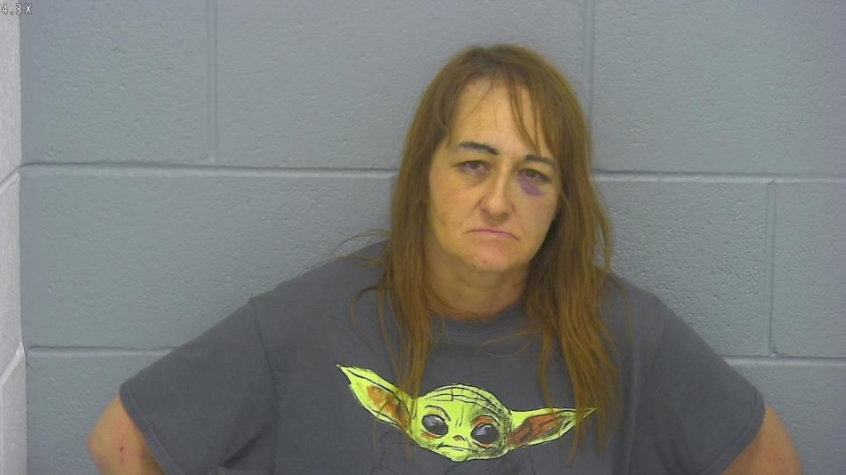 Arrest photo of LISA CORNELL