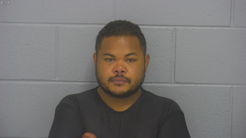 Arrest photo of LOGAN ILEK