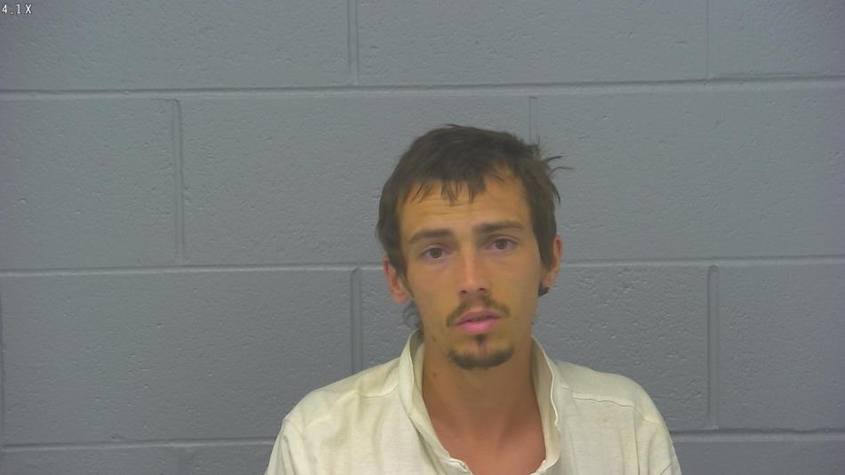 Arrest photo of LOGAN MILLER