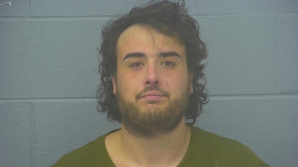 Arrest photo of LOGAN MILDENSTEIN