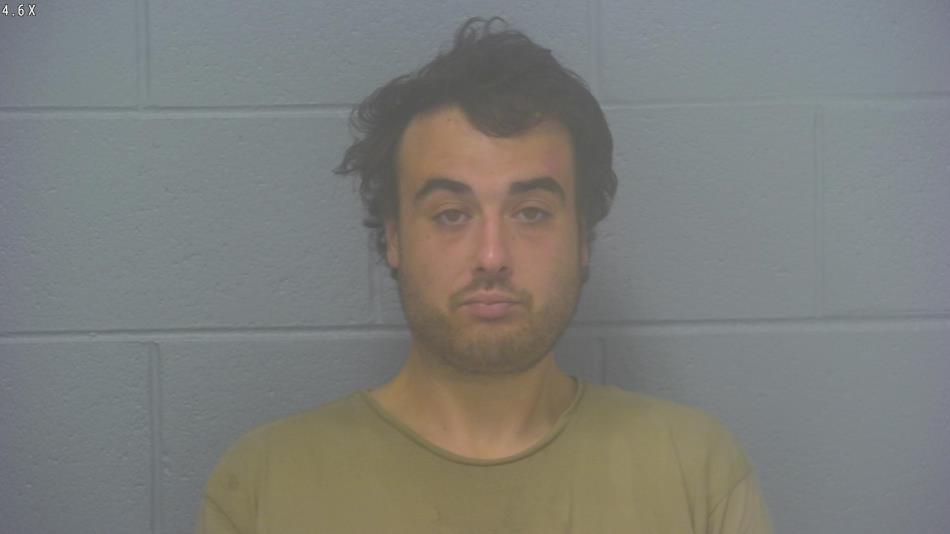 Arrest photo of LOGAN MILDENSTEIN
