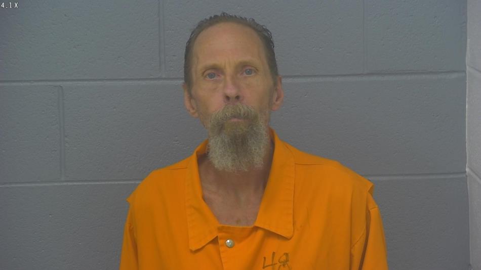 Arrest photo of LONNIE SKELTON