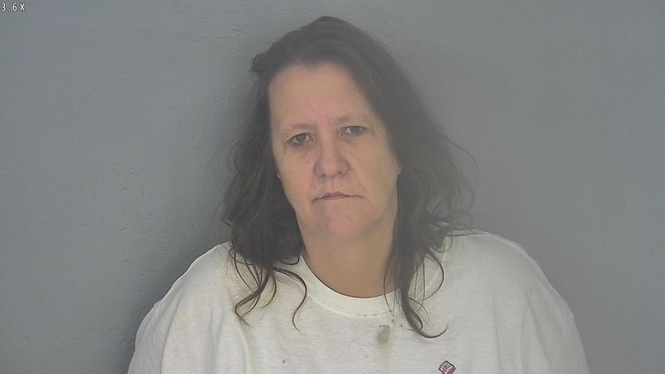Arrest photo of LORI FLOWER