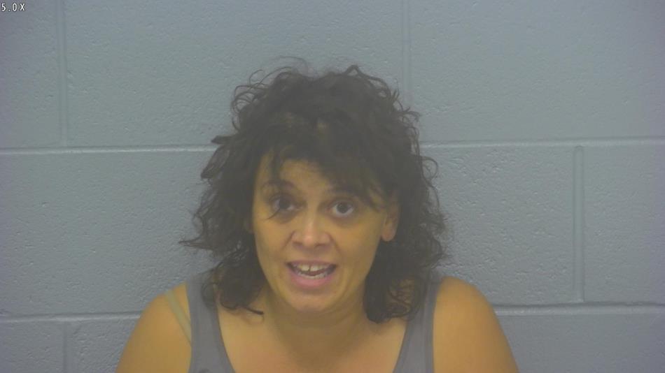 Arrest Photo of LORI BROOKE, arrested on 10/22/2024