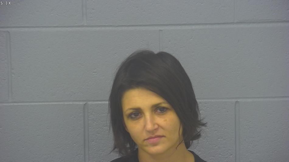 Arrest photo of LOUANN SIMPSON