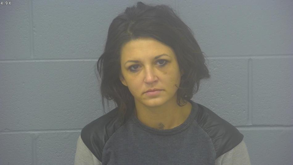Arrest photo of LOUANN SIMPSON