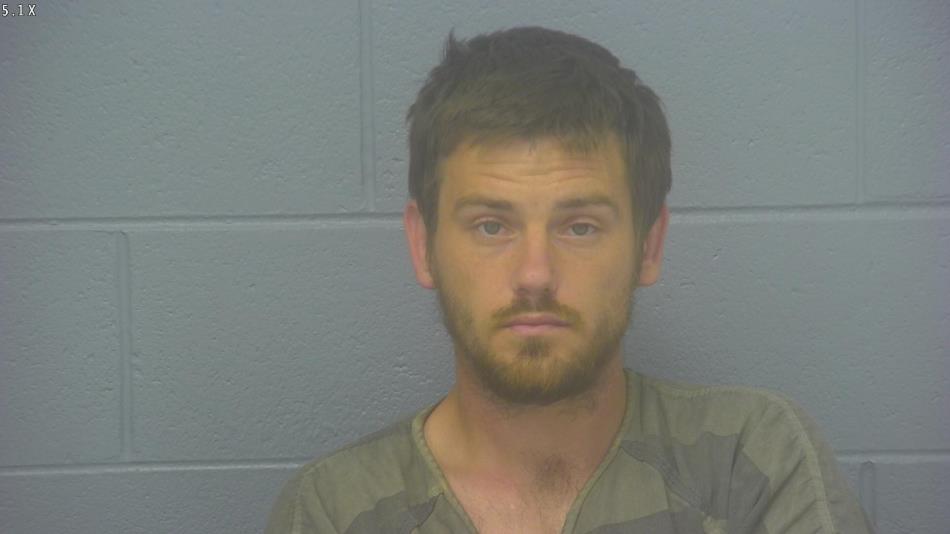 Arrest photo of LUCAS DUNN