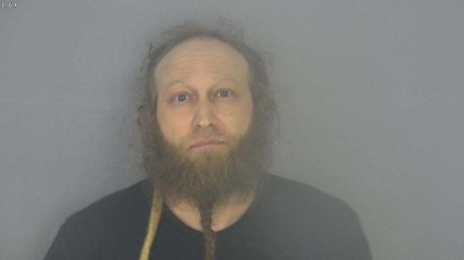 Arrest photo of LUCAS SARAKINIS