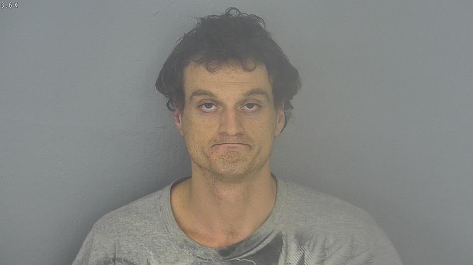 Arrest photo of LUCAS BREWER