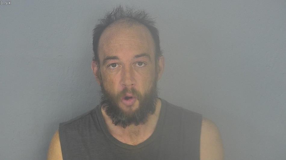 Arrest photo of LUCAS ROLFE