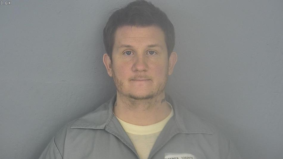 Arrest photo of LUCAS HAYNES